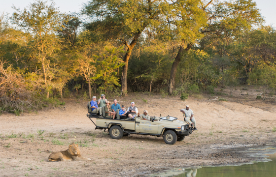 Encounter the Wild on morning and afternoon game drives