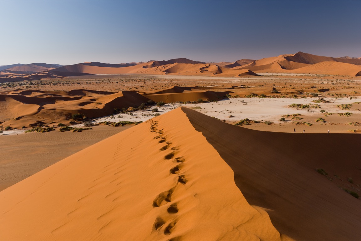 Desert Experiences