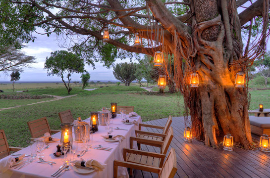 Enjoy dinner in the African bush under the stars