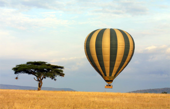 Get a bird’s eye view of the savannah in a hot air balloon