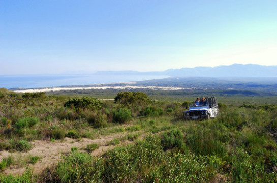 Grootbos – A luxury experience that’s in harmony with nature