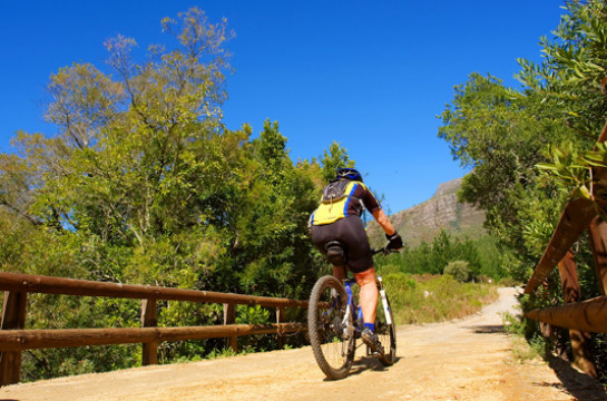 Immerse yourself in the spectacular scenery as you cycle through the Cape Winelands