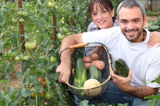 Visit historic Babylonstoren for an authentic farm experience