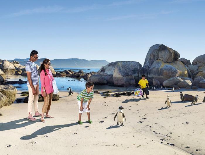 South Africa Family Travel – Cape Town & Safari