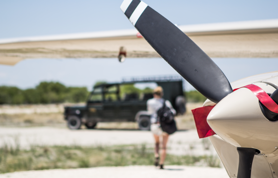Take a private charter flight direct to the lodge airstrip (Etosha)