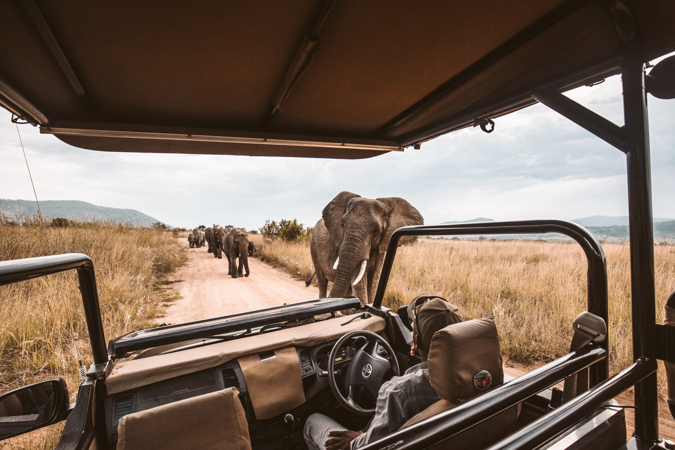 What’s the best safari in Africa?