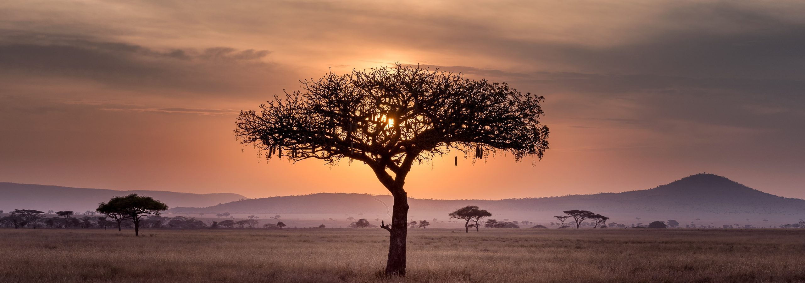 Why Tanzania should be your first post-covid vacation